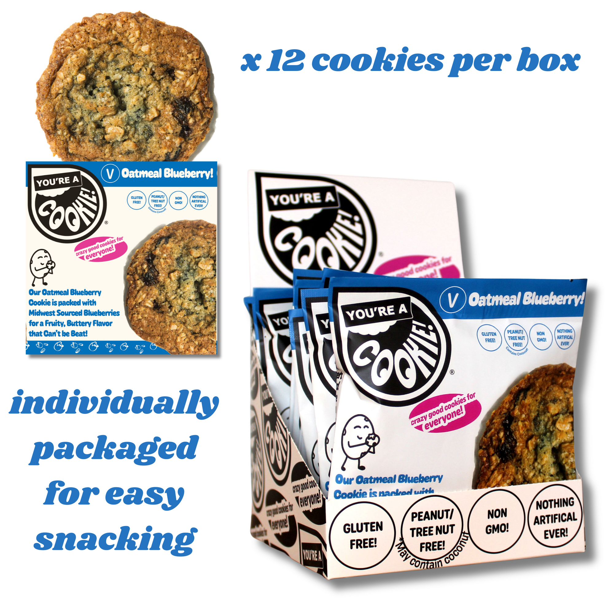 Vegan Oatmeal Blueberry | Full Dozen