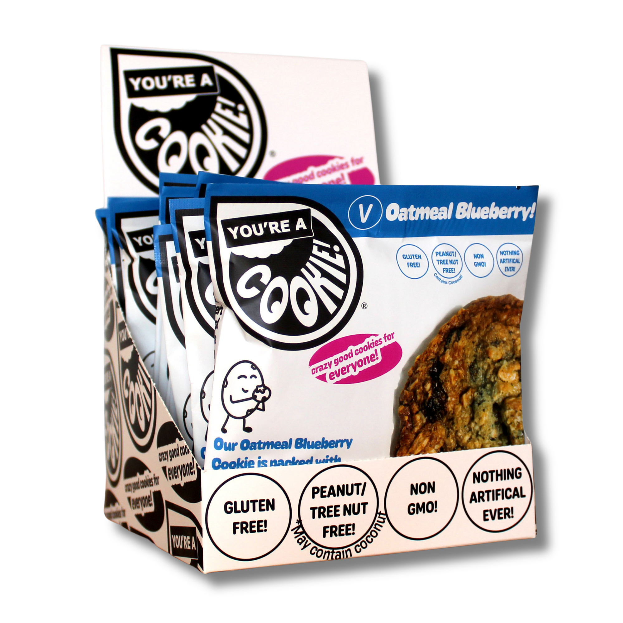 Vegan Oatmeal Blueberry | Full Dozen