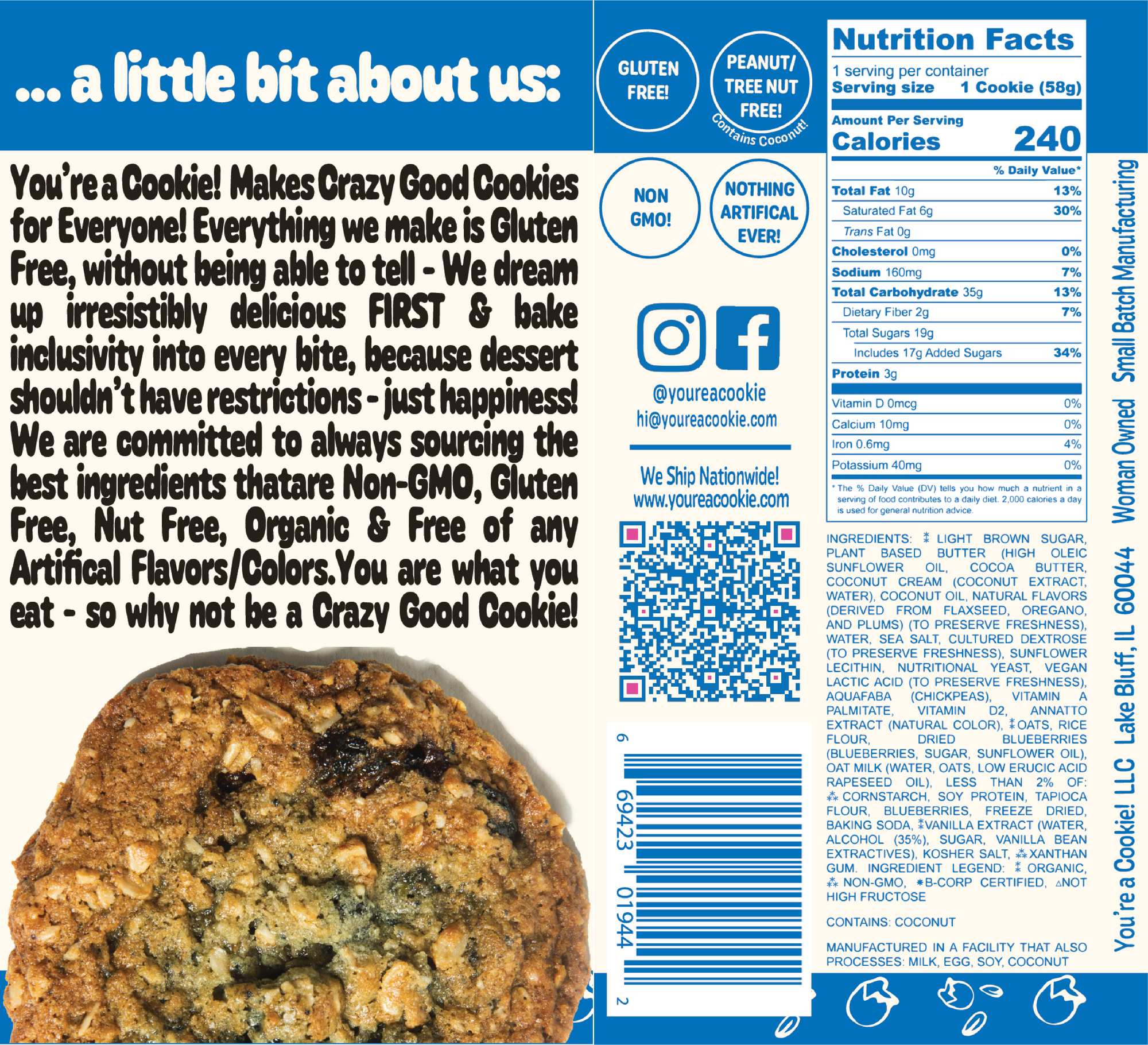 Vegan Oatmeal Blueberry | Full Dozen