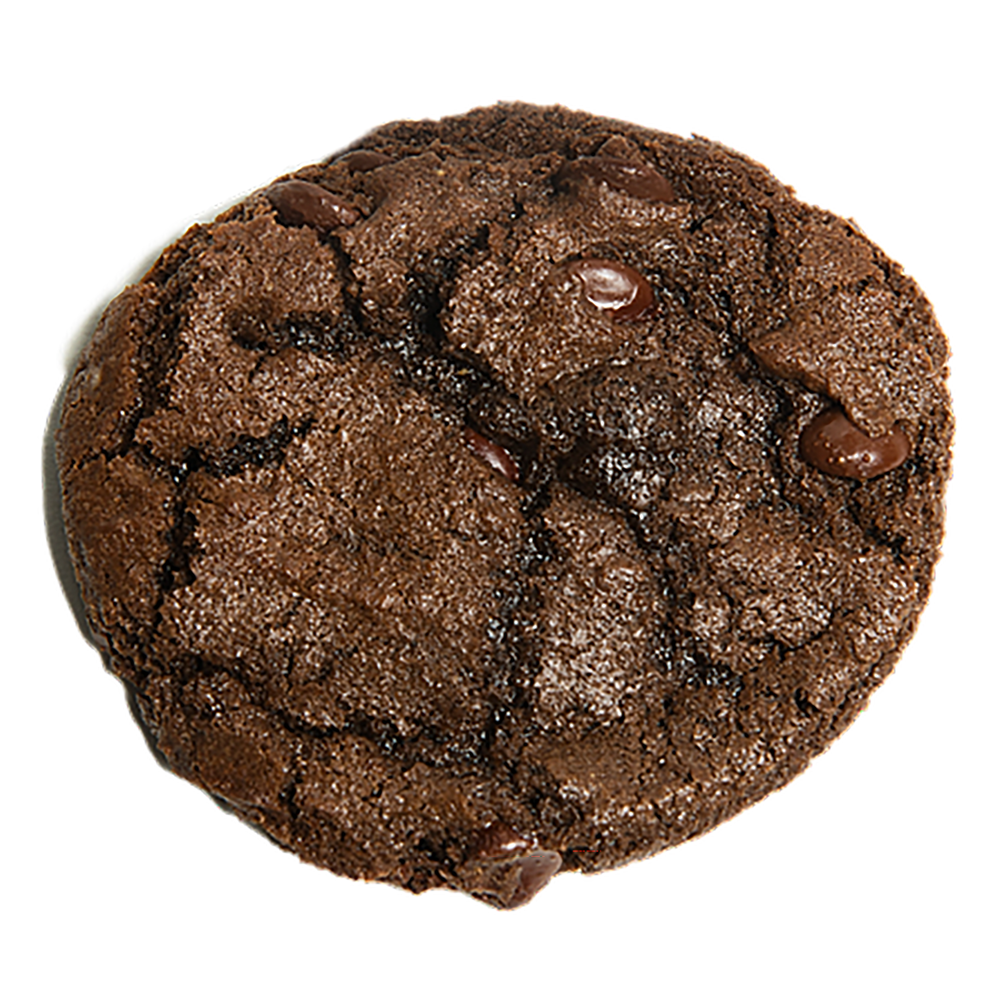 Vegan Double Chocolate Chip | Single Cookie