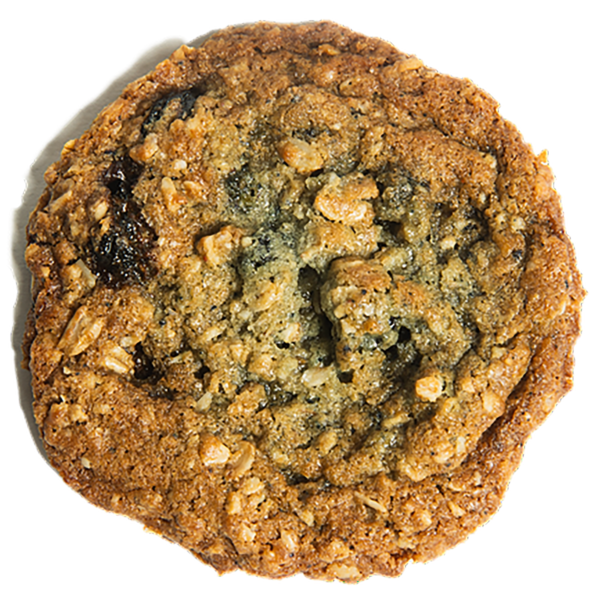 Oatmeal Blueberry | Full Dozen