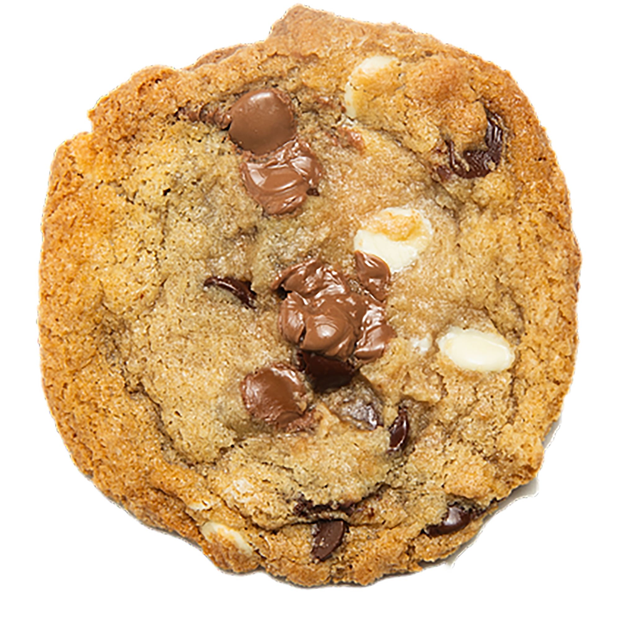 Triple Chocolate Chip | Full Dozen