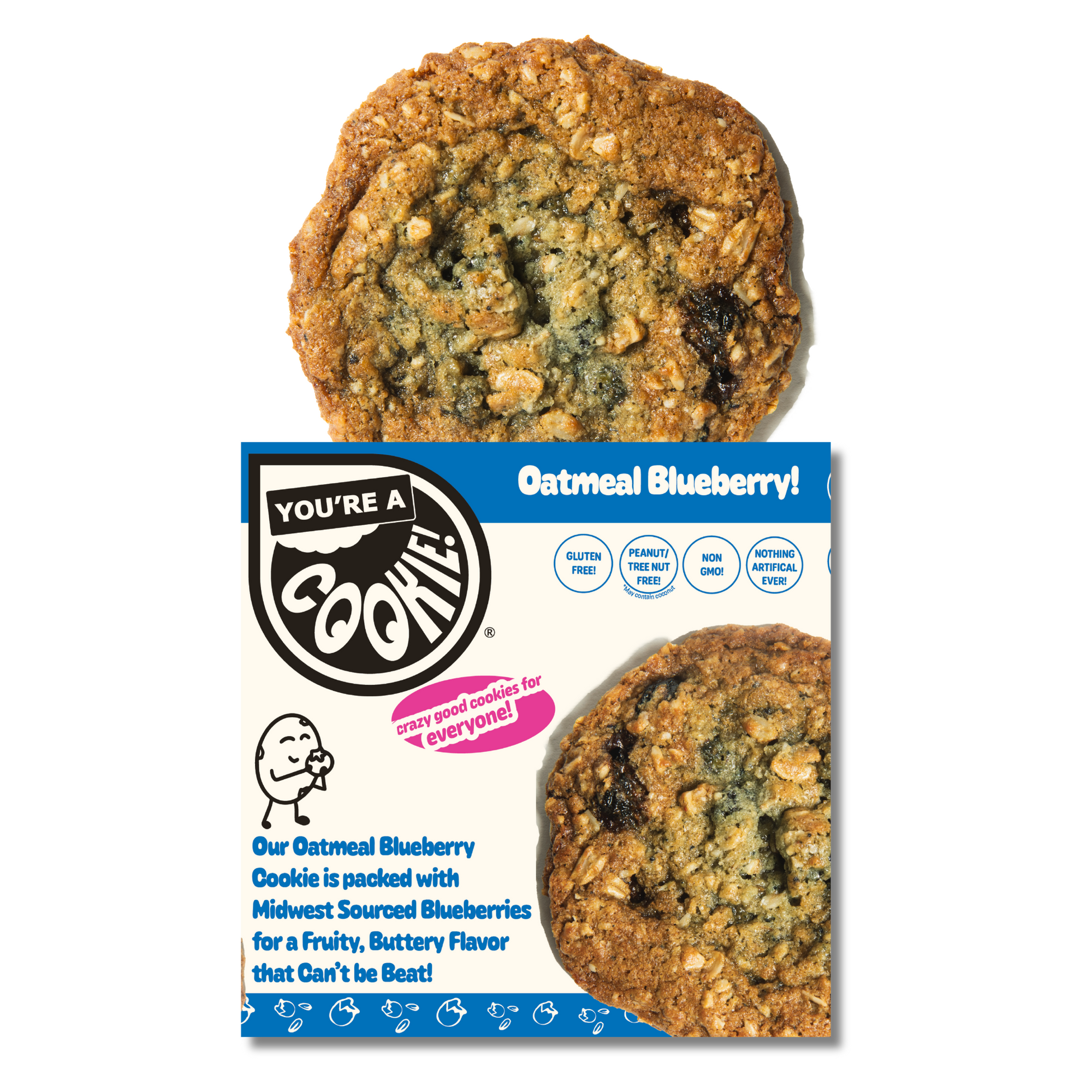 Oatmeal Blueberry | Single Cookie