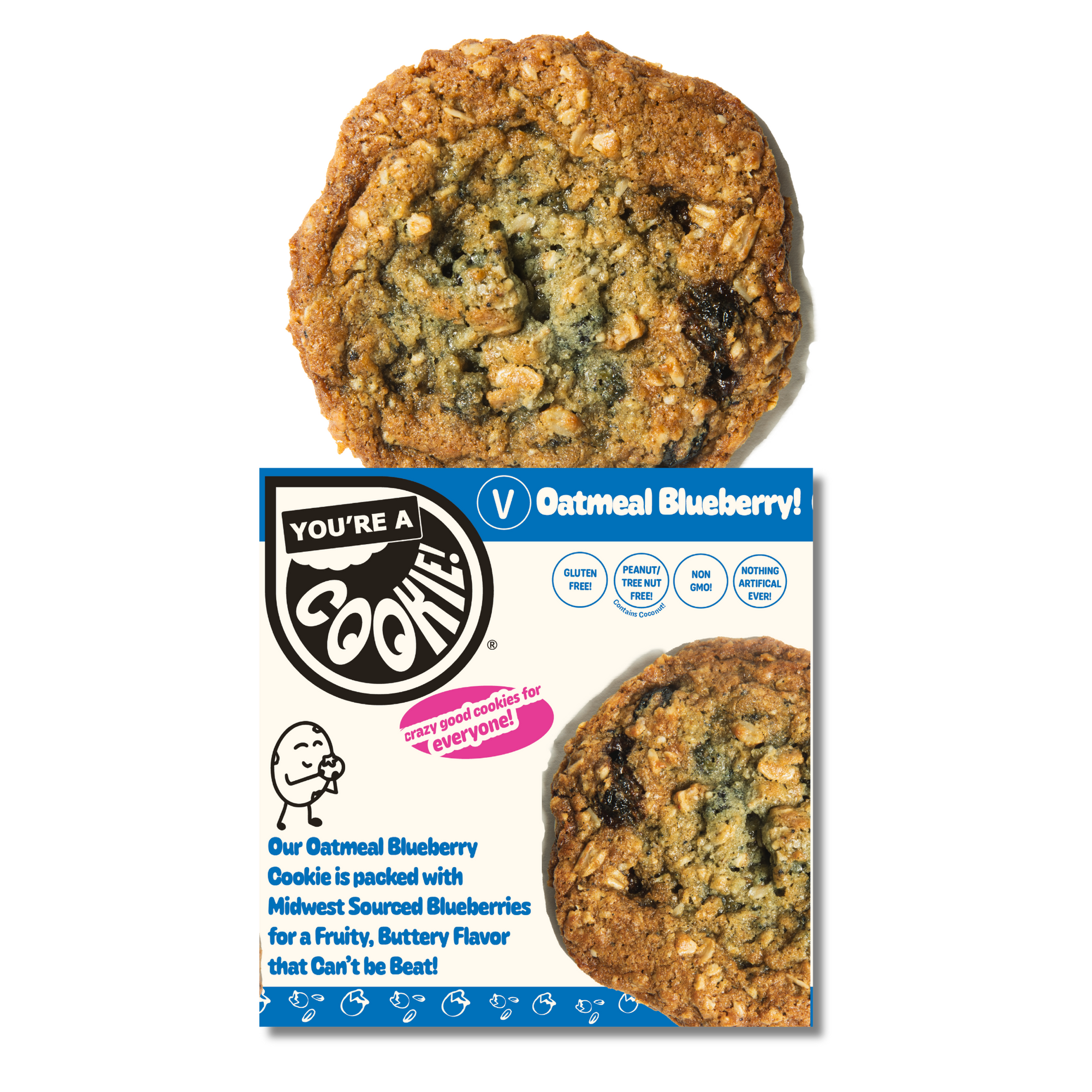 Vegan Oatmeal Blueberry | Full Dozen