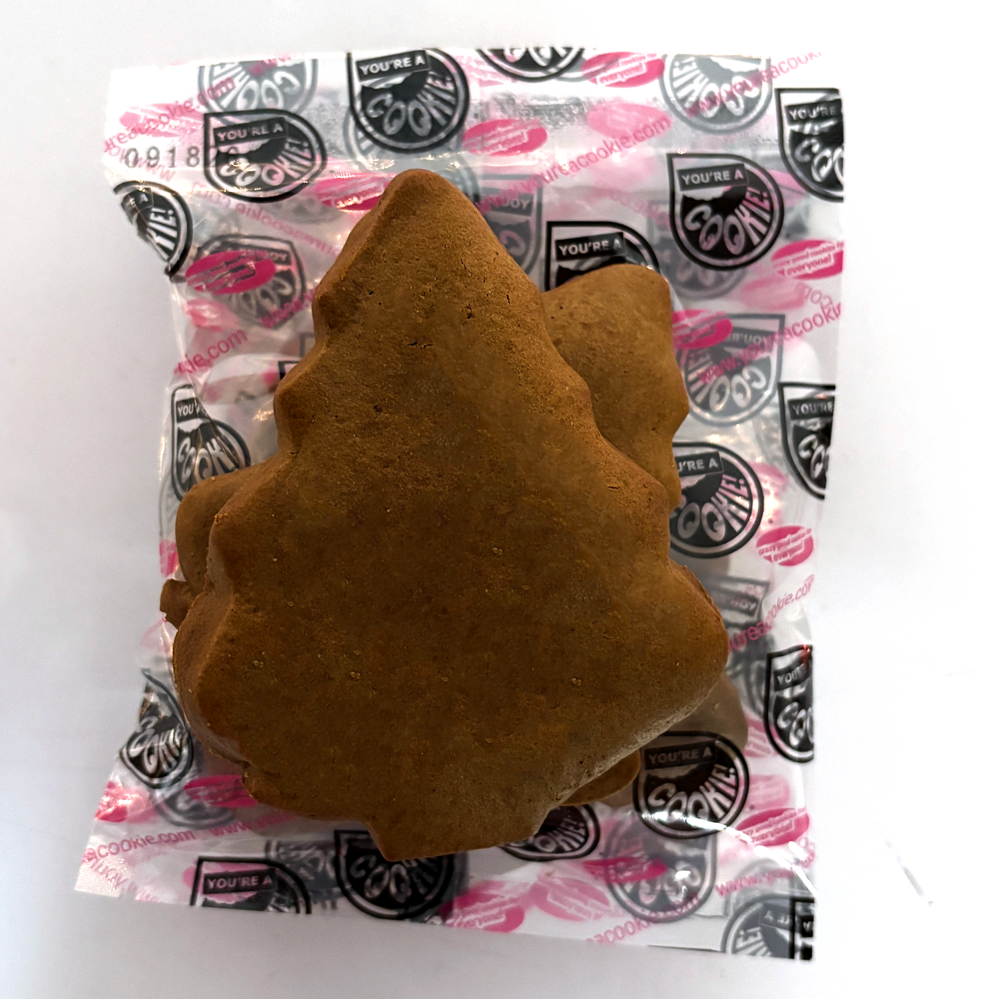 Holly Jolly Gingerbread Cookie Kit | Case Pack - Six (6) Kits