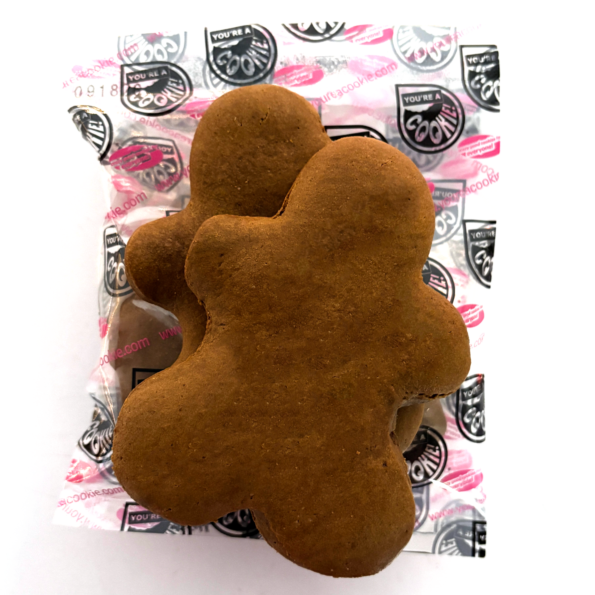 Holly Jolly Gingerbread Cookie Kit | Case Pack - Six (6) Kits