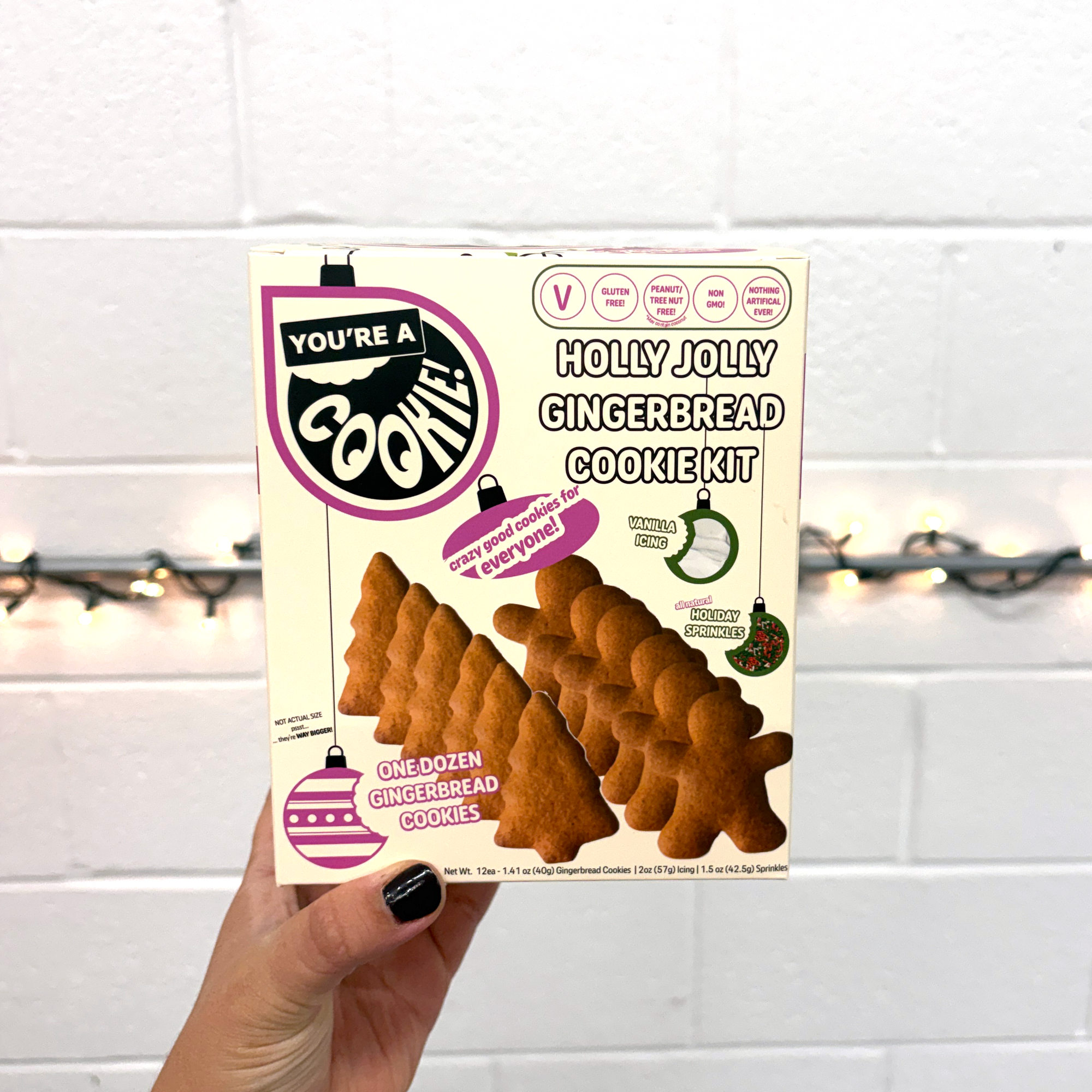 Holly Jolly Gingerbread Cookie Kit | Case Pack - Six (6) Kits