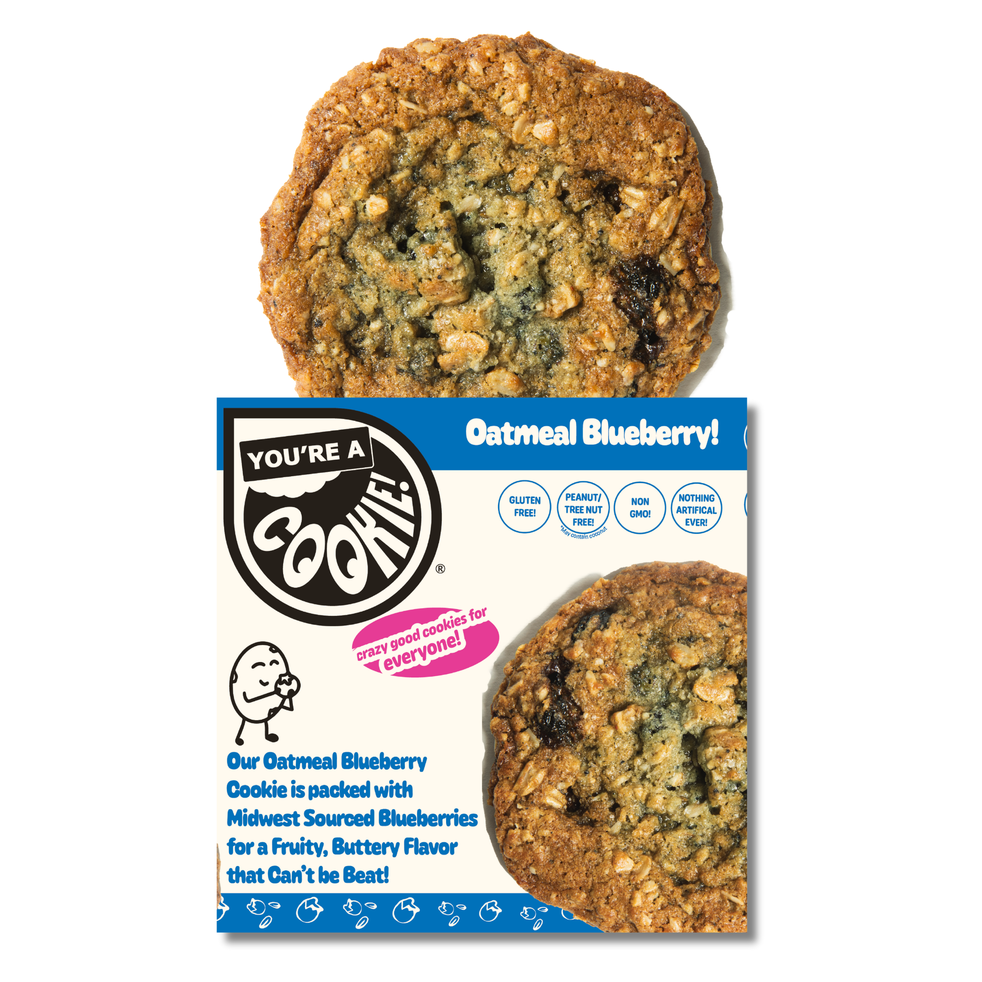 Oatmeal Blueberry | Single Cookie – You're a Cookie!